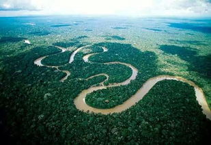 南美洲热带雨林叫什么